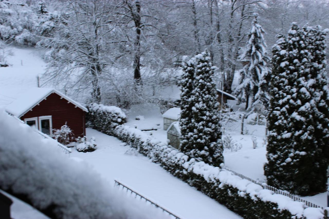 Gasthof Und Pension Frankenthal - Garni Gera Exterior photo